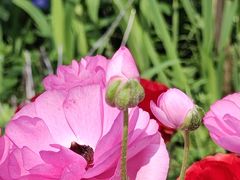 -闵行体育公园(七宝镇)