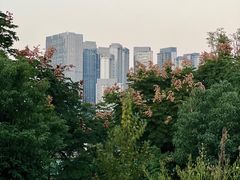 -桂溪生态公园