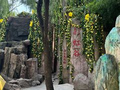 -雪山彩虹谷景区