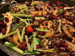 -老板恋上鱼(印象城店)