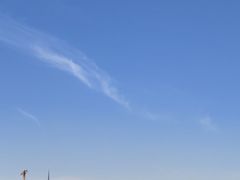 -巴黎圣母院