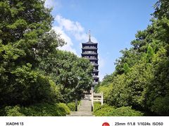 -宜兴龙背山森林公园