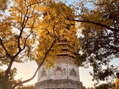-玲珑塔公园