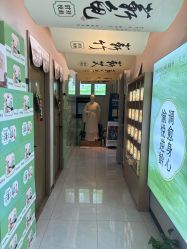 -阅年轻·AI家庭健康体质调理