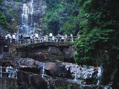 -鼎湖山风景区