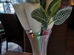 -探窝·竹笙椰子鸡(杨箕店)