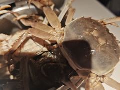 -聚盛源蒸汽海鲜火锅烤肉自助(巨川金海岸购物广场店)