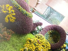 -杭州植物园
