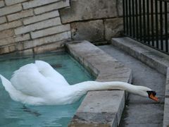 -维乐口腔医院(星海湾分院)