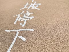 -田小狗的饭店(碧桂园店)