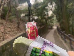 -苏州上方山国家森林公园