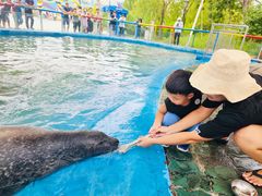 -北戴河圣蓝海洋公园