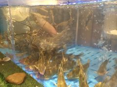 -海底捞火锅(金光华店)