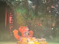 -广州长隆国际大马戏