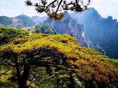 -黄山风景区