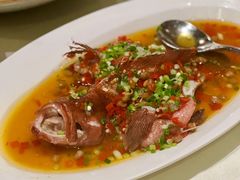 -皇朝会.经典传统粤菜(外滩店)