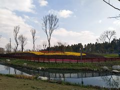 -天府芙蓉园
