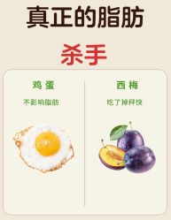 -Fundi张玉珊修身堂·indiba·BTL科技瘦身
