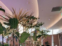 -桂满陇·蟹黄小笼汤包(清河万象店)