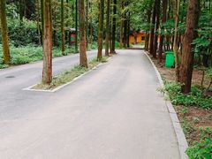 -天花井景区