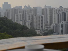 -金鸡山公园