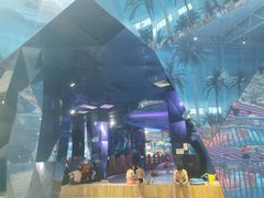 -青岛东方影都融创水世界