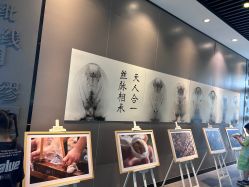 点击看大图 -太湖雪蚕桑文化园