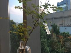 景观位-日上三甘(三里屯店)