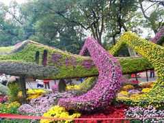 -杭州植物园