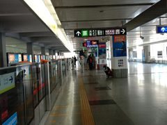 -望京西(地铁站)