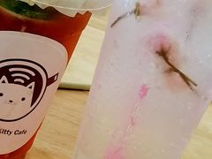 -楼上猫咖(罗湖店)