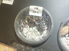 -酷以爬仙阁实体爬宠店·守宫·蜥蜴·专业繁育