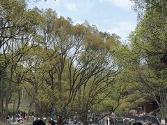 -东明山森林公园