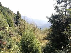 -南岳衡山风景名胜区