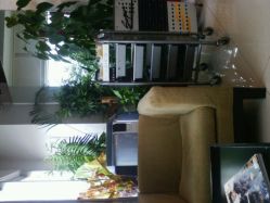 android_upload_pic-美秀造型