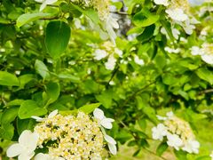 -蜀冈西峰生态公园