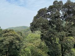 -广州市白云山风景名胜区