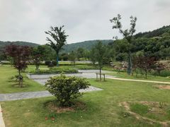 -龙寺生态园