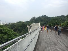 -亨德森波浪桥