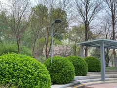 -仁和公园(顺义区)