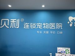 -贝利宠物医院·骨科·眼科·肿瘤转诊中心(南坪诊疗中心)