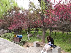 -洛阳市隋唐城遗址植物园