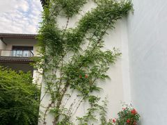 -广富林宰相府酒店·水云间