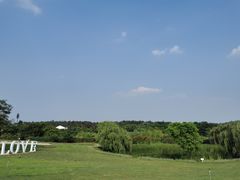 -大塘金香草谷