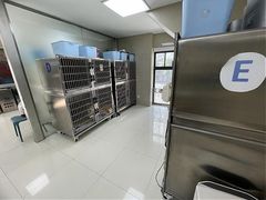 -申普宠物医院·心脏介入·心血管微创(总院)