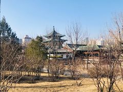 -迎泽公园