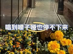 -欢乐空间KTV(奥山世纪城店)
