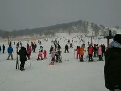 android_upload_pic-神鹿雪场