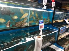 水产区-盒马鲜生(曜一城店)