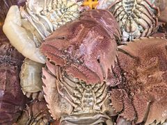 -海峡水产品交易中心(海鲜交易区)